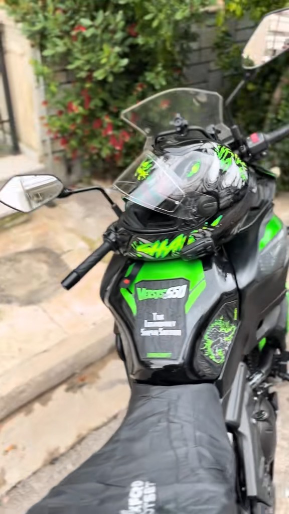 Tankpad Set Kawasaki Versys 650 – Dragon Ball, Μαύρο / Πράσινο / Λευκό – Forgecraft